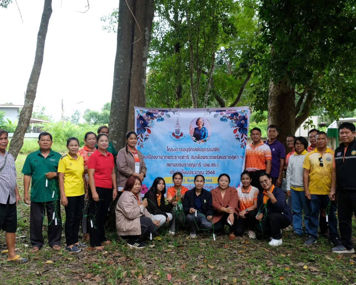 โครงการอนุรักษ์พันธุกรรมพืชอันเนื่องมากจากพระราชดำริสมเด็จพระกนิษฐาธิราชเจ้า กรมสมเด็จพระเทพฯ (อพ.สธ.) ณ ดอนปู่ตาบ้านกลางน้อย หมู่ 6